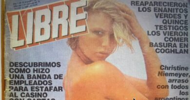 Temas que irritan: Censura y sociedad en una Argentina en transformación rápida (1984-85)